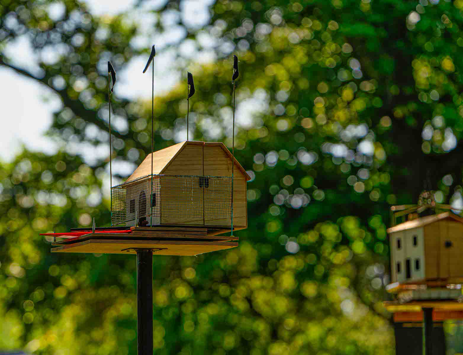  BIRD HOUSES 