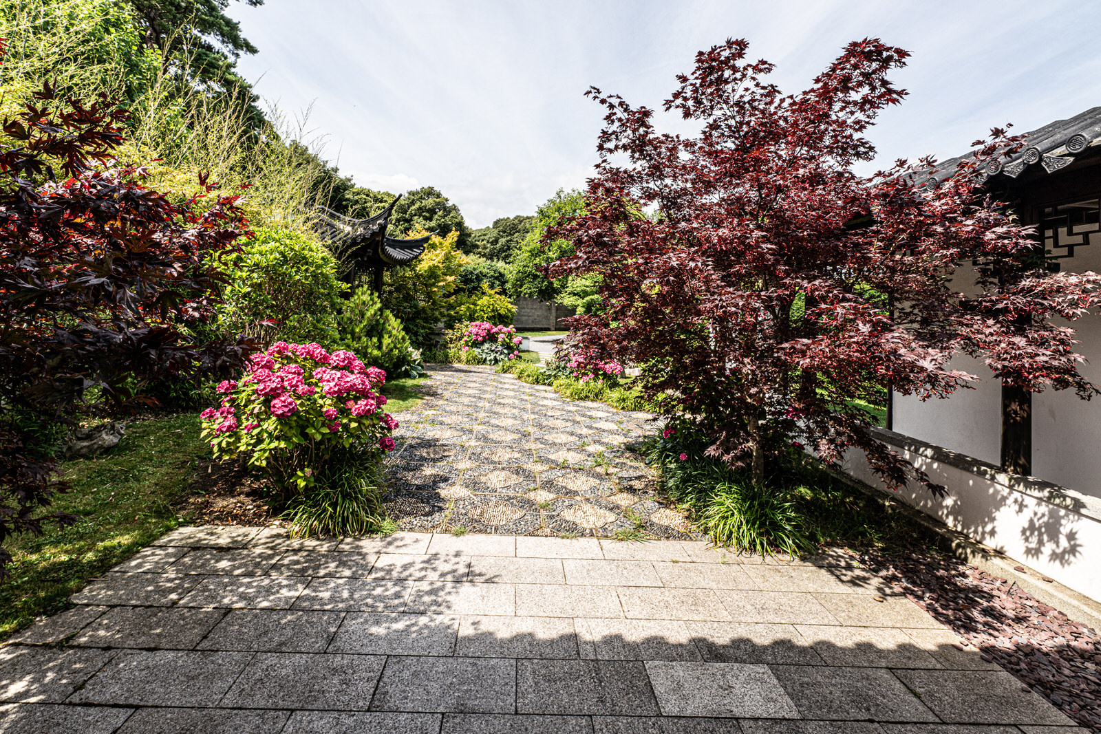  CHINESE GARDEN 