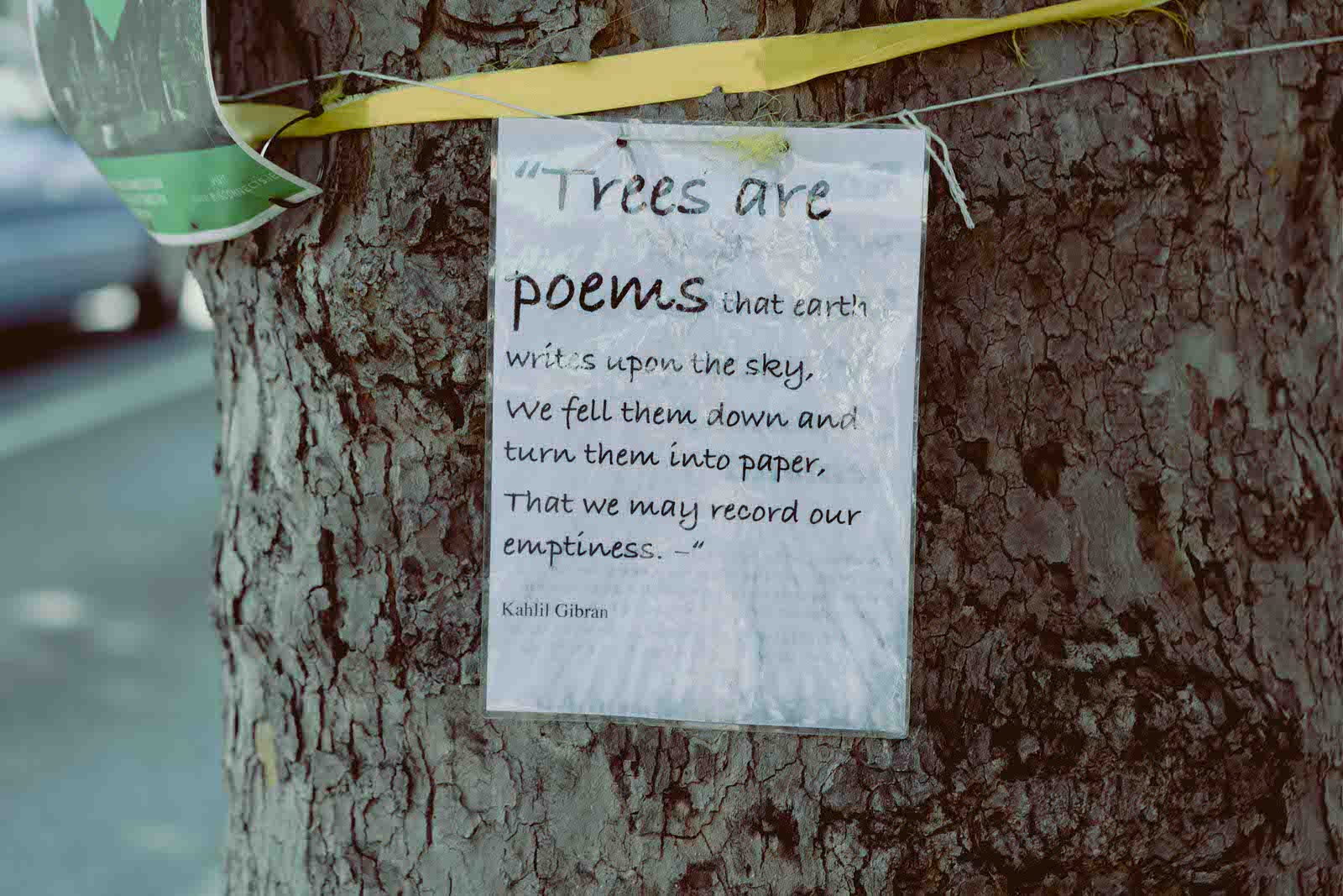  TREES ARE POEMS 
