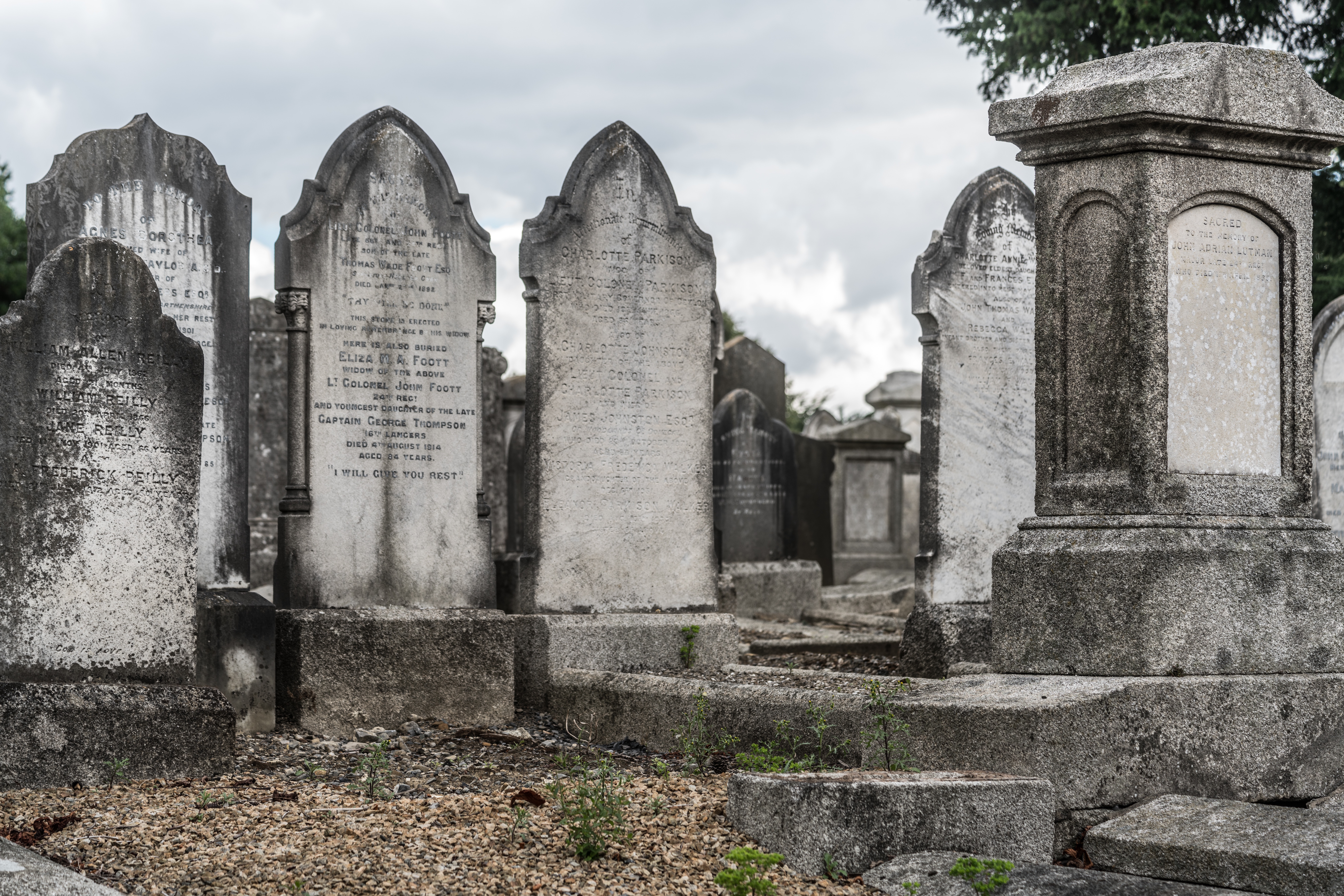 Mount Jerome Cemetery - August 2017 001 