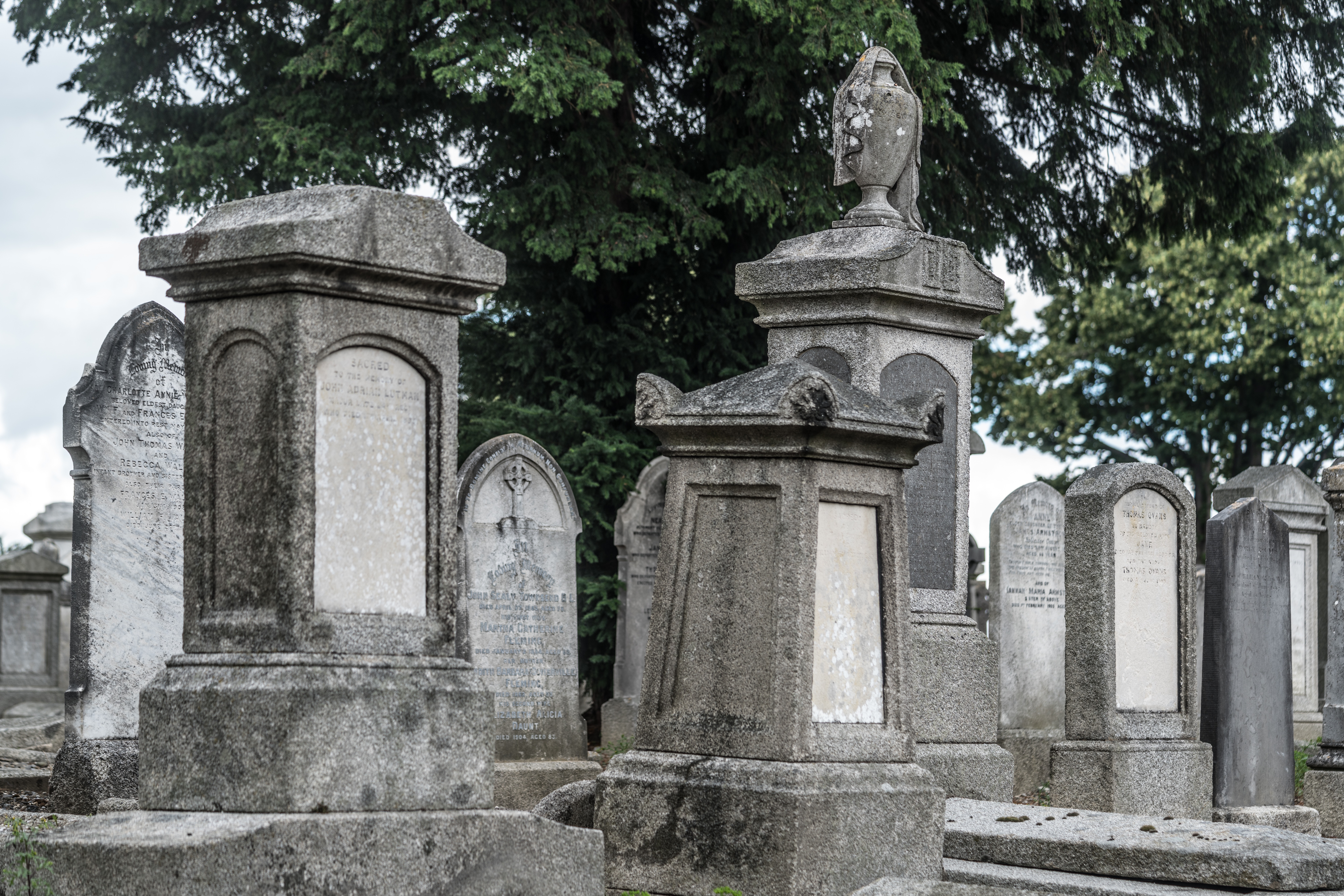  Mount Jerome Cemetery - August 2017 002 