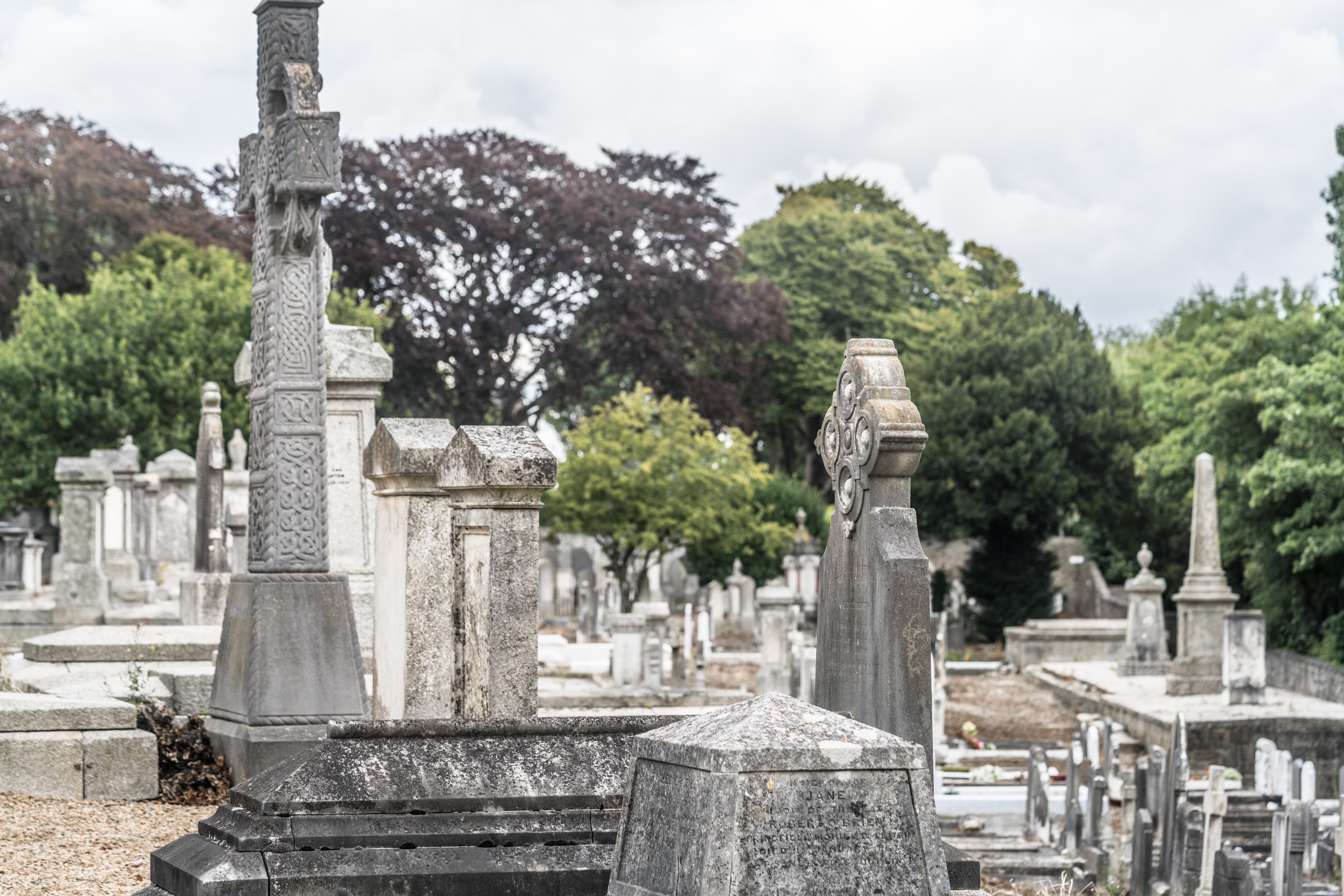  Mount Jerome Cemetery - August 2017 005 