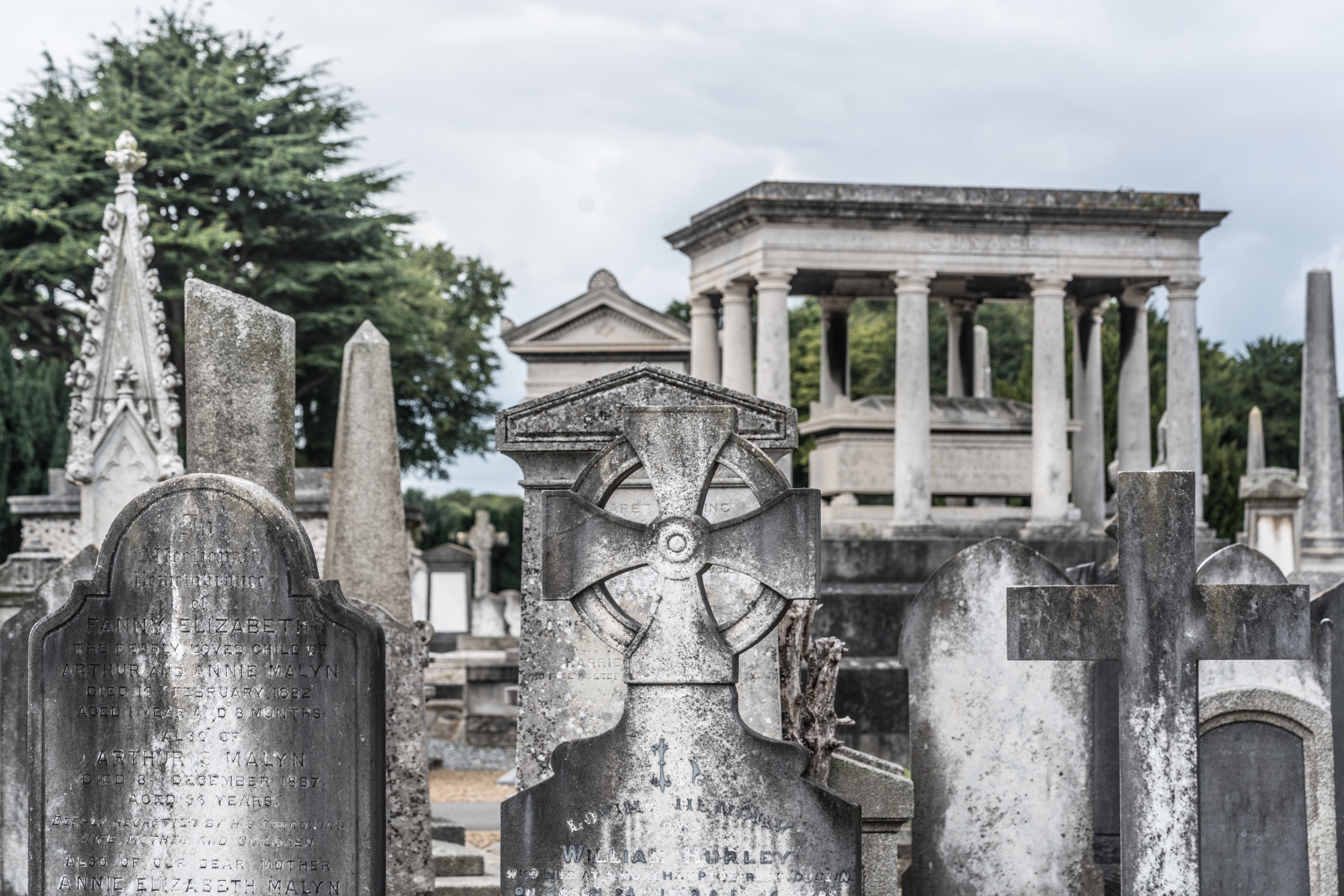  Mount Jerome Cemetery - August 2017 012 