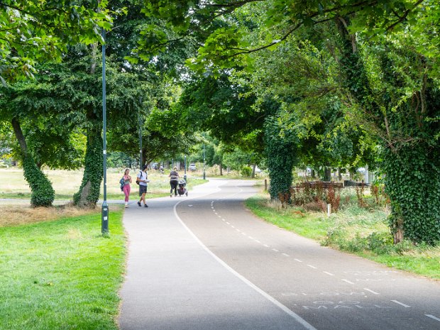 EXPLORING BLACKROCK PARK
