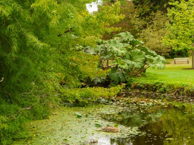 POND AREA