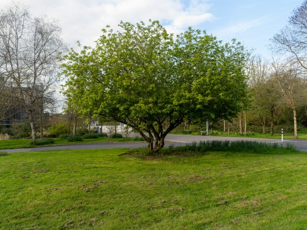 22 MARCH 2024