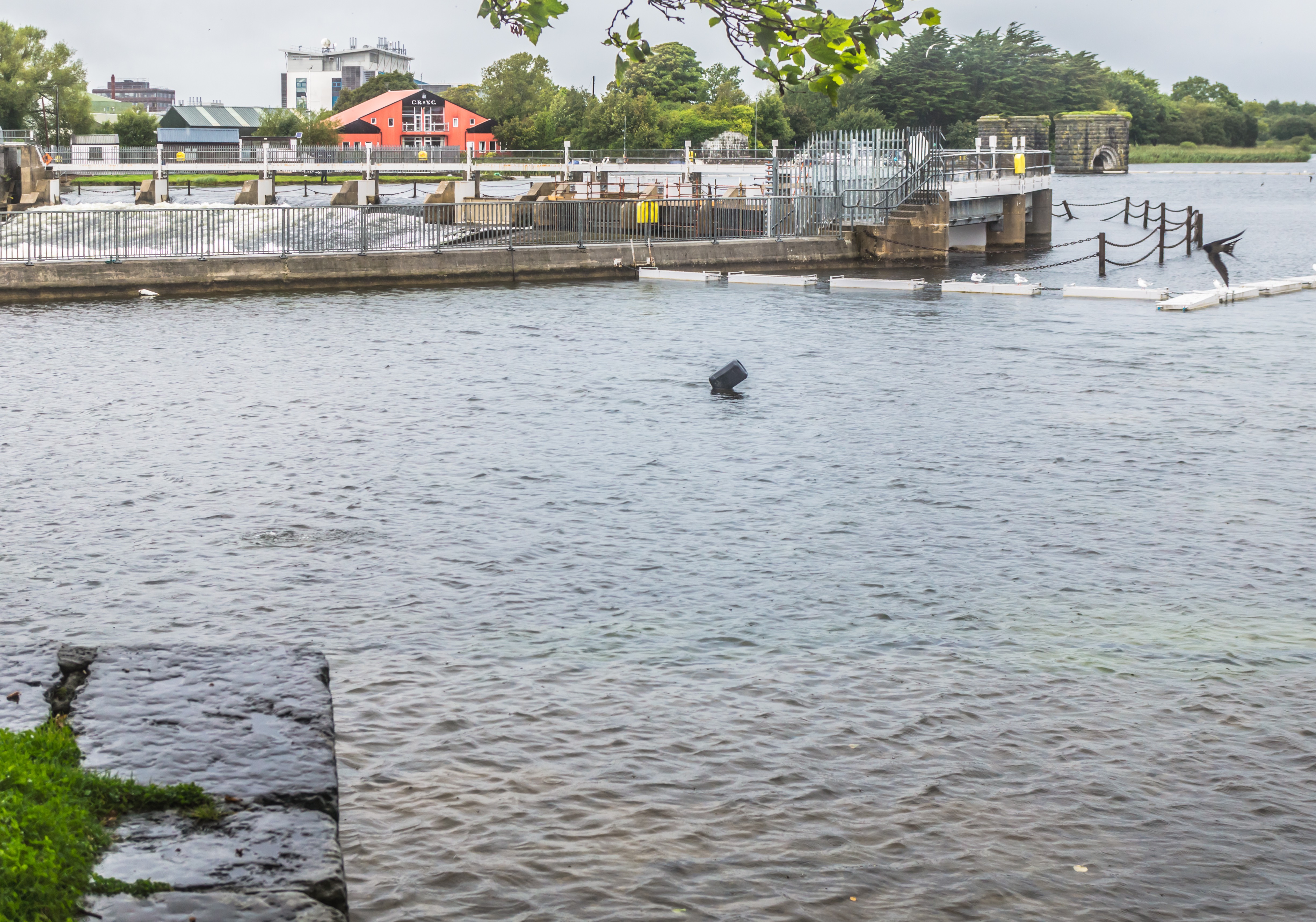  THE WATERWAYS OF GALWAY 011 