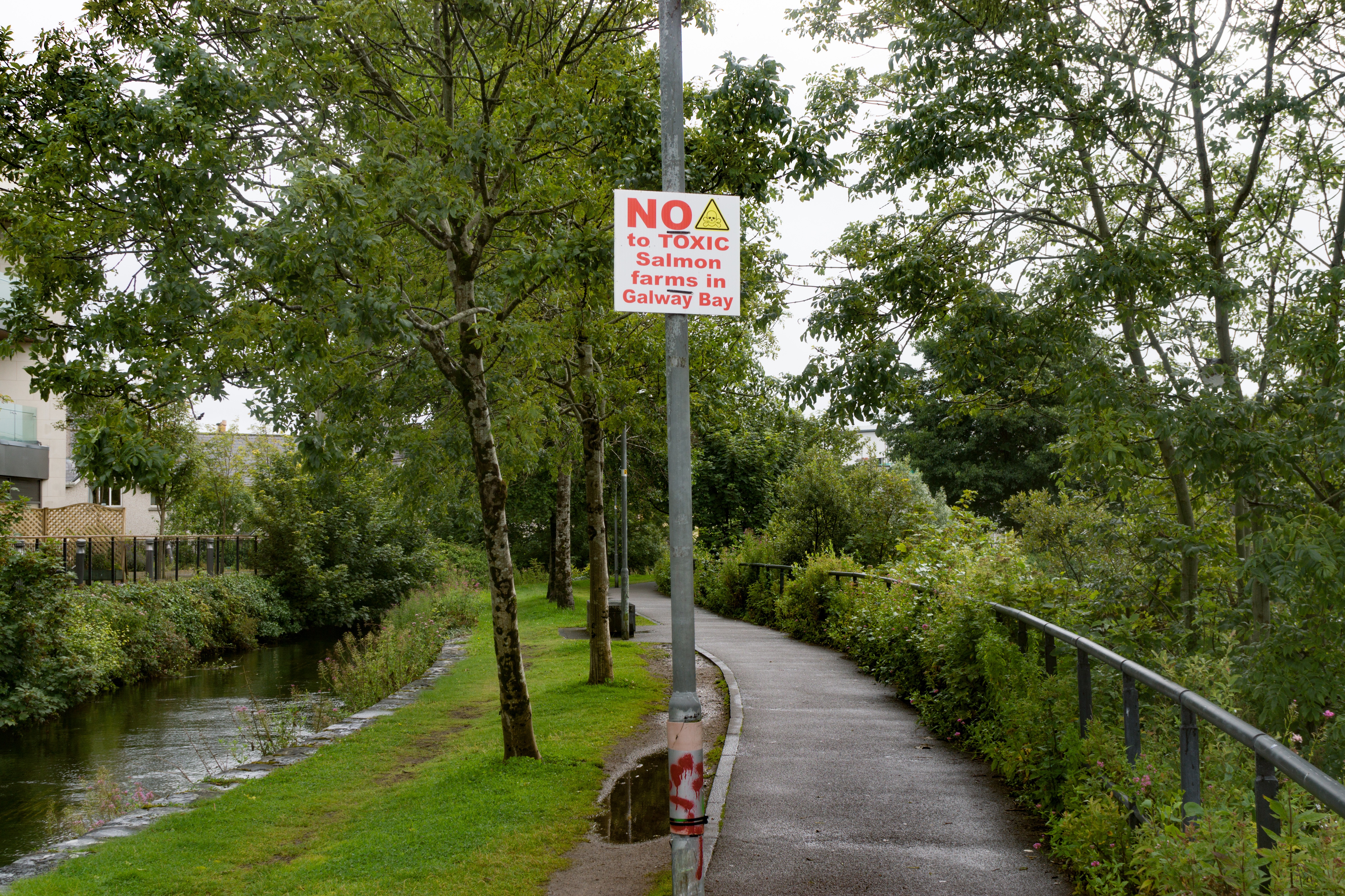  THE WATERWAYS OF GALWAY 013 