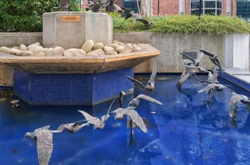  THIS WATER FEATURE HAD BEEN REMOVED 