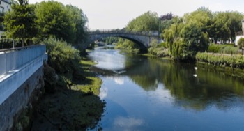  The bridge in my photographs connects the South Circular Road to Conyngham Road on the north bank of the river 