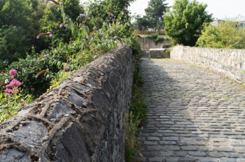  PACKHORSE BRIDGE ACROSS THE DODDER -  1650s STONE FOOTBRIDGE IN MILLTOWN  