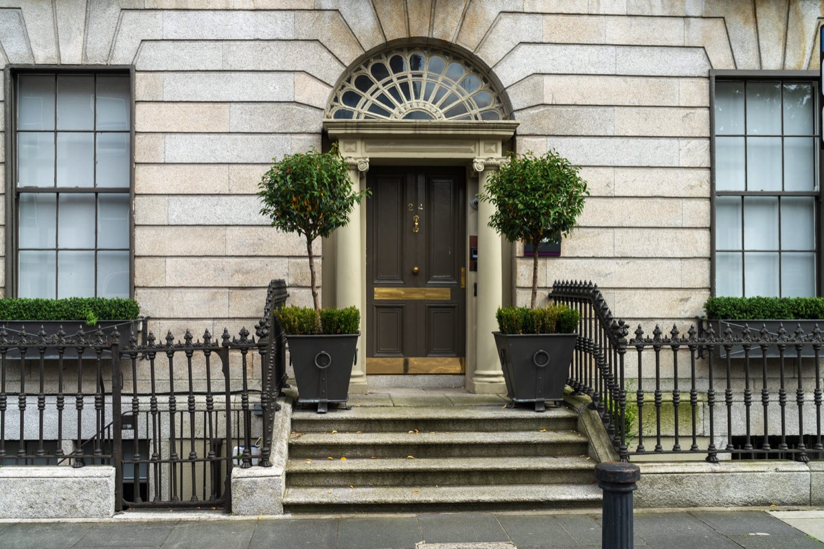 THE DOORS OF DUBLIN - FITZWILLIAM PLACE 028