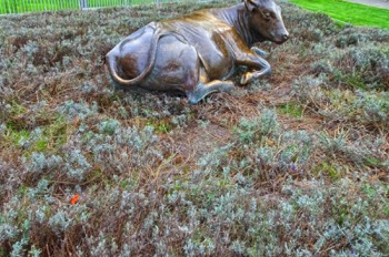  THE BRONZE COW DECIDED TO MOVE FROM WOLFE TONE SQUARE TO WOOD QUAY WHERE THE GRASS IS GREENER 