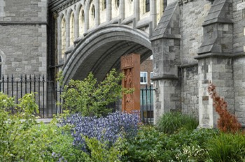  CHRIST CHURCH CATHEDRAL DUBLIN 