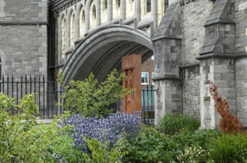  CHRIST CHURCH CATHEDRAL DUBLIN 