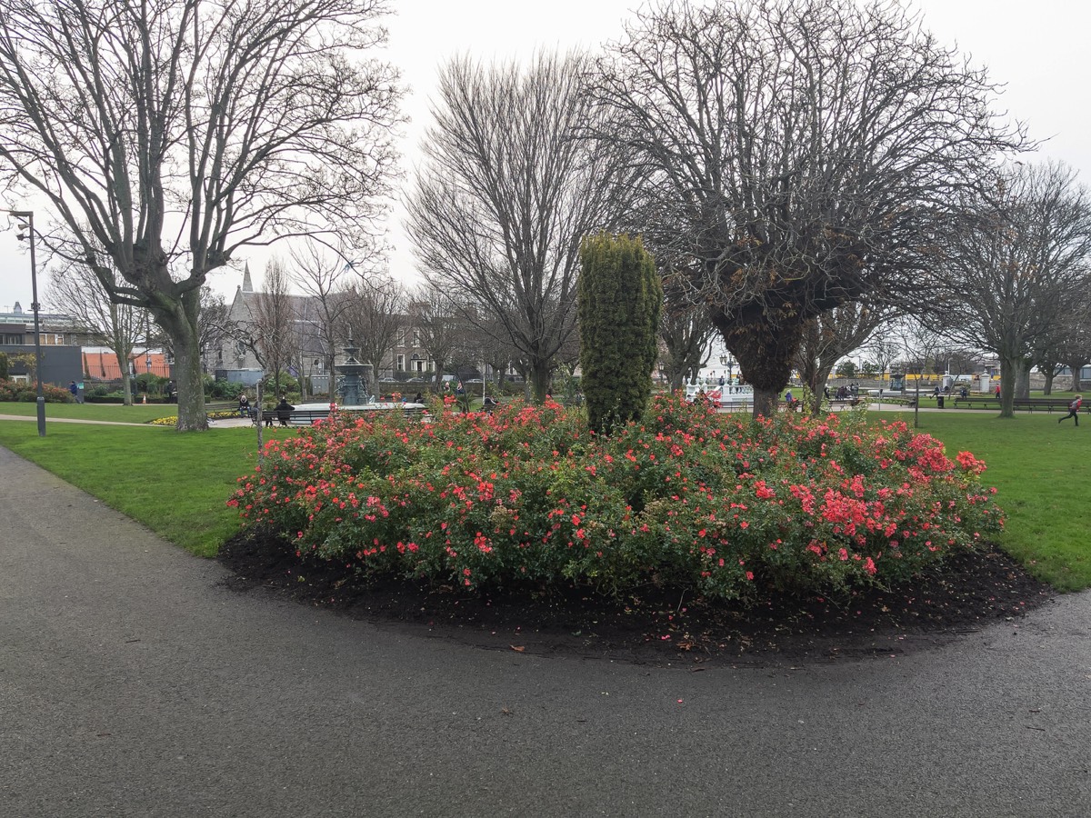 THE VERY POPULAR PEOPLES PARK IN DUN LAOGHAIRE 020