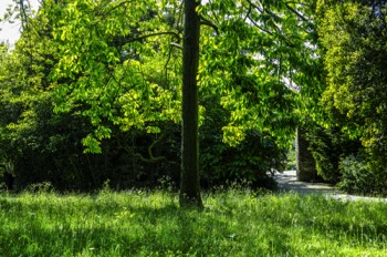  I DID NOT EXPECT THE BOTANIC GARDENS TO BE OPEN - 27 MAY 2020 