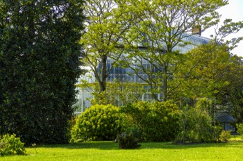  I DID NOT EXPECT THE BOTANIC GARDENS TO BE OPEN - 27 MAY 2020 