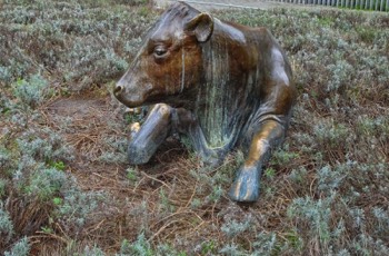  THE BRONZE COW DECIDED TO MOVE FROM WOLFE TONE SQUARE TO WOOD QUAY WHERE THE GRASS IS GREENER 