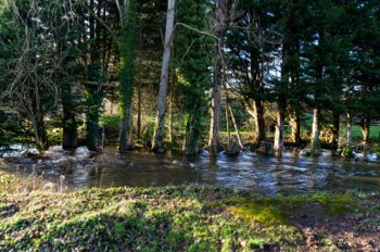  MAYNOOTH 