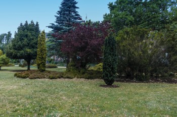  MERRION SQUARE PUBLIC PARK JUNE 2020 