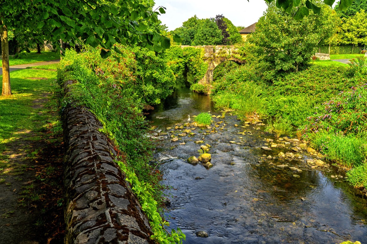 FOLLOWING THE DODDER RIVER FROM MILLTOWN TO CLONSKEAGH 015