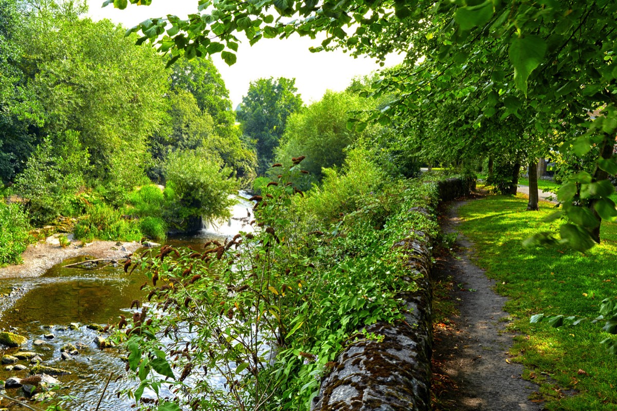 FOLLOWING THE DODDER RIVER FROM MILLTOWN TO CLONSKEAGH 017