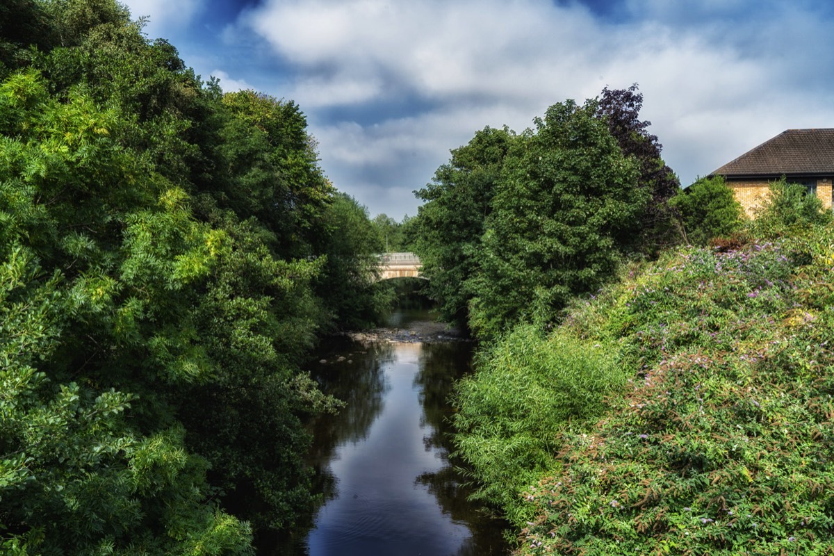 FOLLOWING THE DODDER RIVER FROM MILLTOWN TO CLONSKEAGH 027