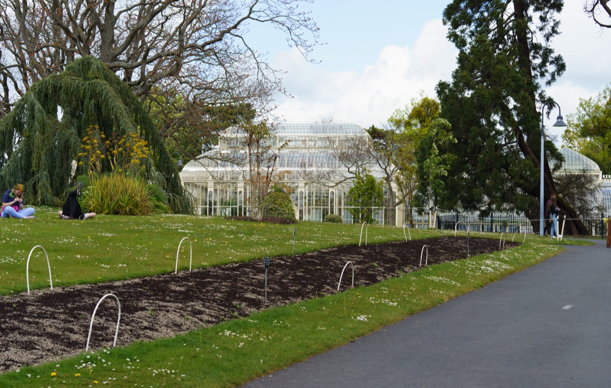 GLASSHOUSES IN THE BOTANIC GARDENS CURRENTLY CANNOT BE ACCESSED BY THE PUBLIC 001