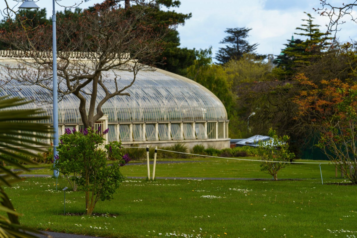 GLASSHOUSES IN THE BOTANIC GARDENS CURRENTLY CANNOT BE ACCESSED BY THE PUBLIC 004