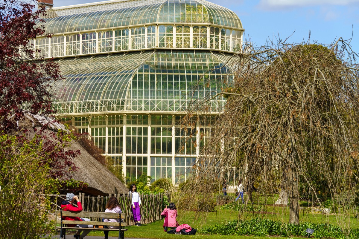 GLASSHOUSES IN THE BOTANIC GARDENS CURRENTLY CANNOT BE ACCESSED BY THE PUBLIC 008