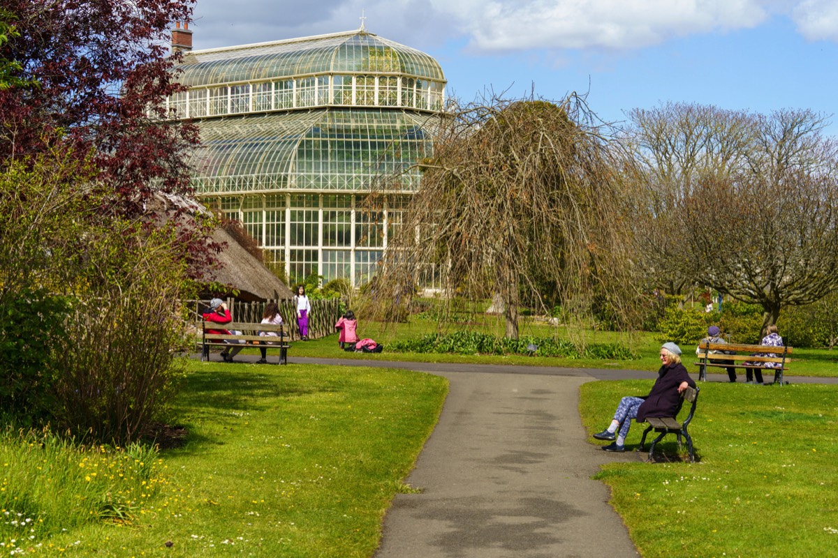 GLASSHOUSES IN THE BOTANIC GARDENS CURRENTLY CANNOT BE ACCESSED BY THE PUBLIC 009