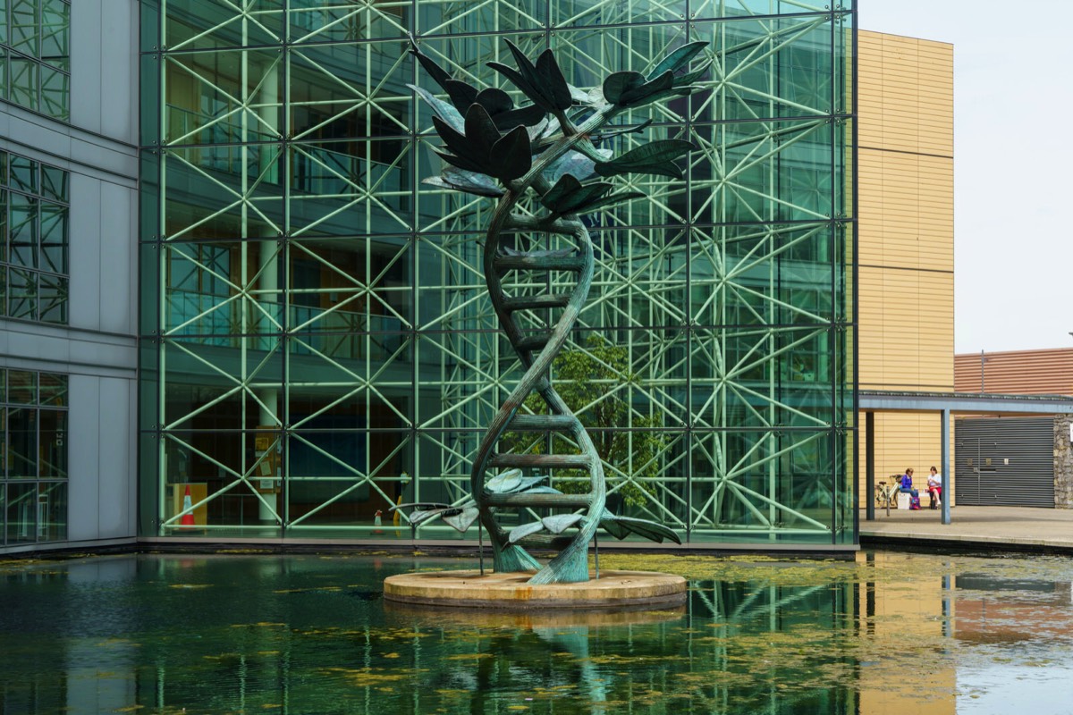 TREE OF LIFE BY VINCENT BROWN - BLANCHARDSTOWN CIVIC OFFICES  004