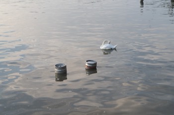 LIMERICK ON THE RIVER SHANNON [2017]