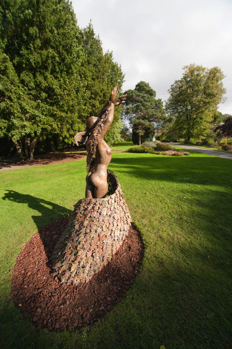 OTHER EARTH DANCING BY BETTY NEWMAN MAGUIRE PHOTOGRAPHED USING A CANON 1Ds MKIII 009