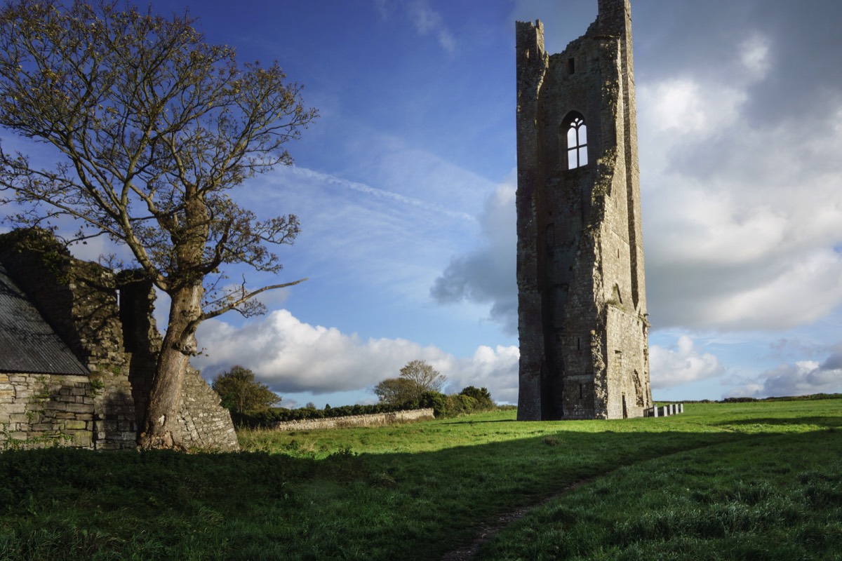 THE YELLOW STEEPLE IN TRIM COUNTY MEATH 012