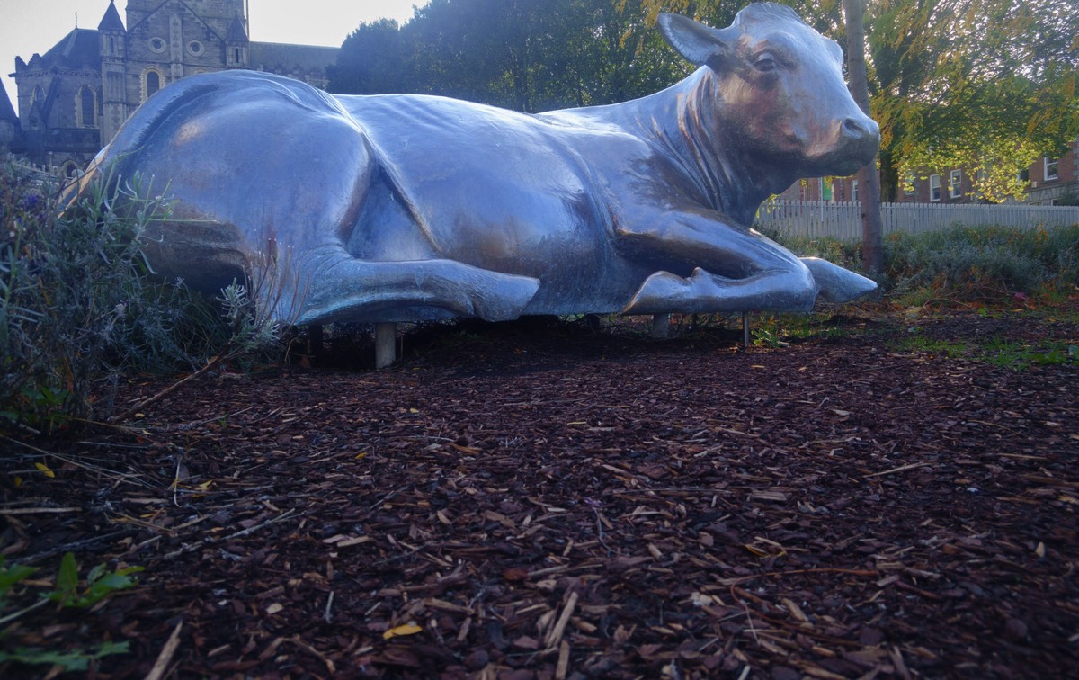 A LONELY NEGLECTED BRONZE COW