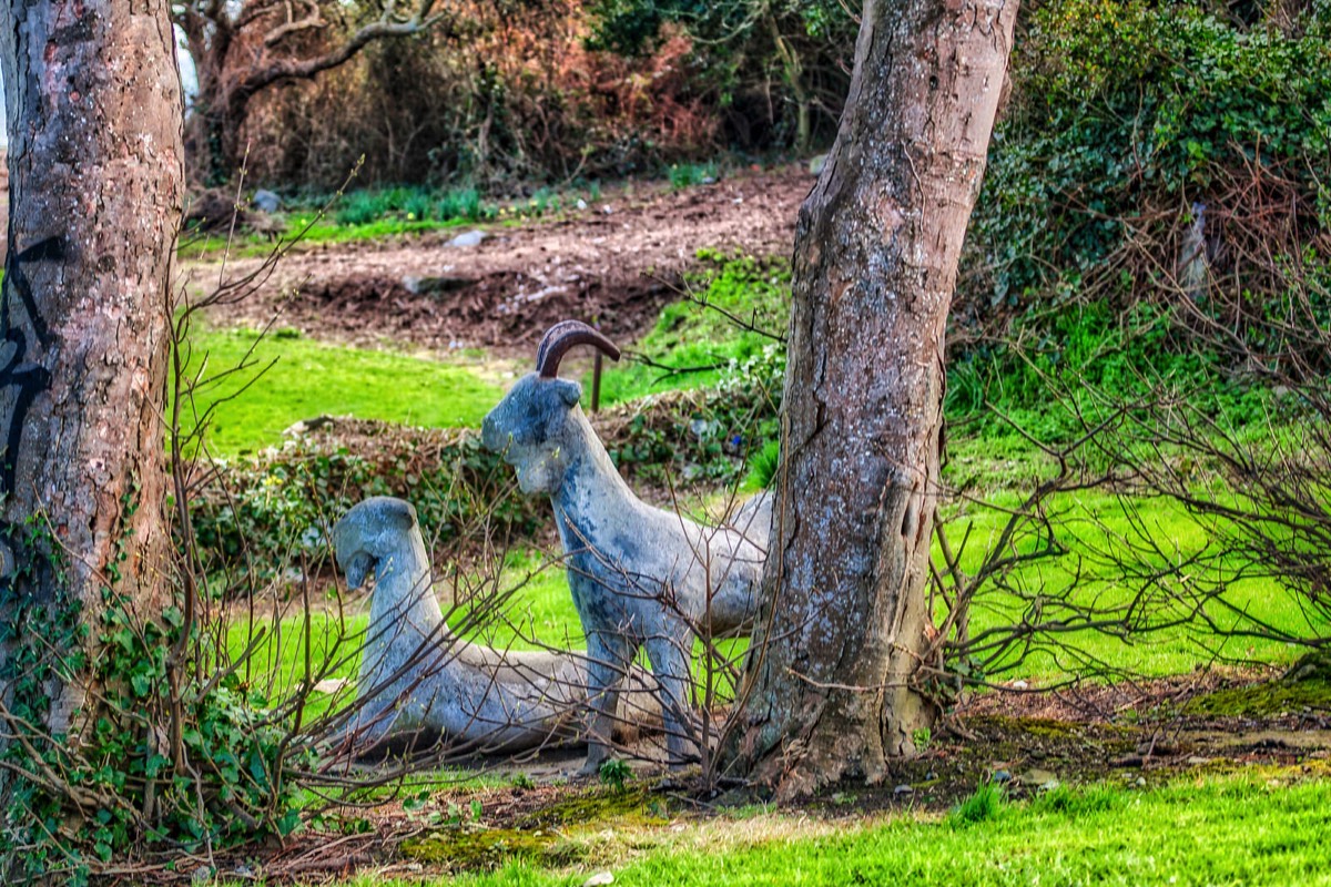 CONCRETE GOATS IN DALKEY