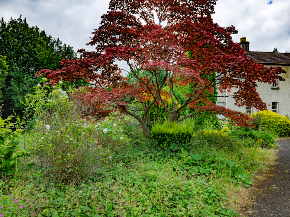 Really Nice Rock Garden At Maynooth College