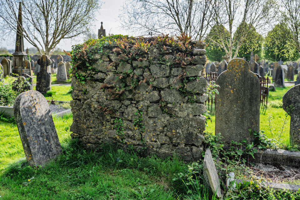 Saint Josephs Cemetery In Cork April 2026
