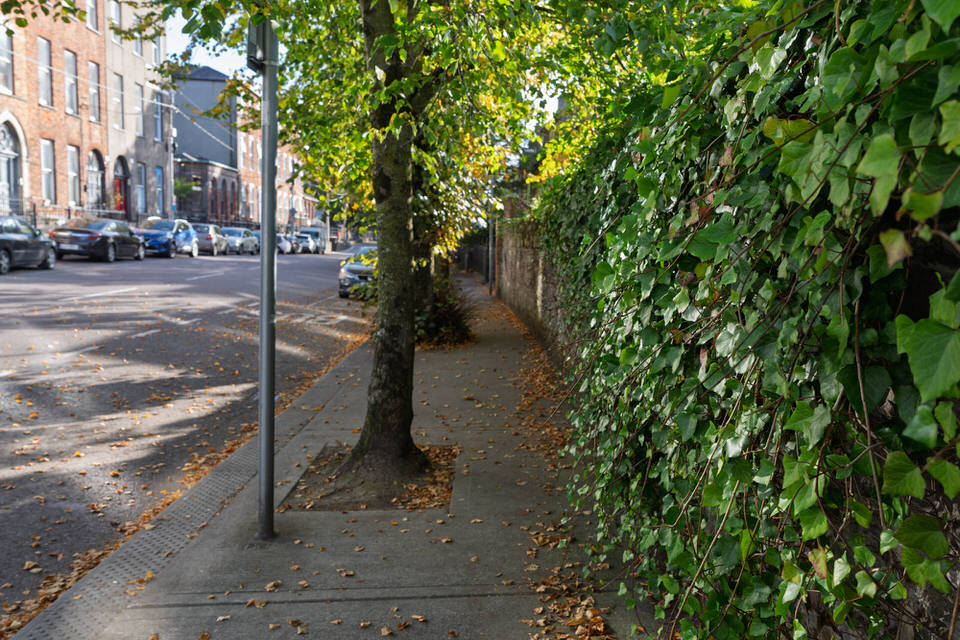 Wellington Road In Cork City